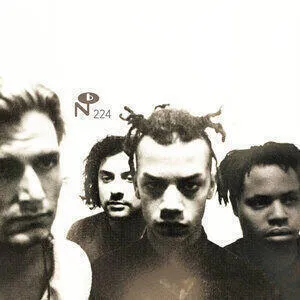 Butterflies don't go away